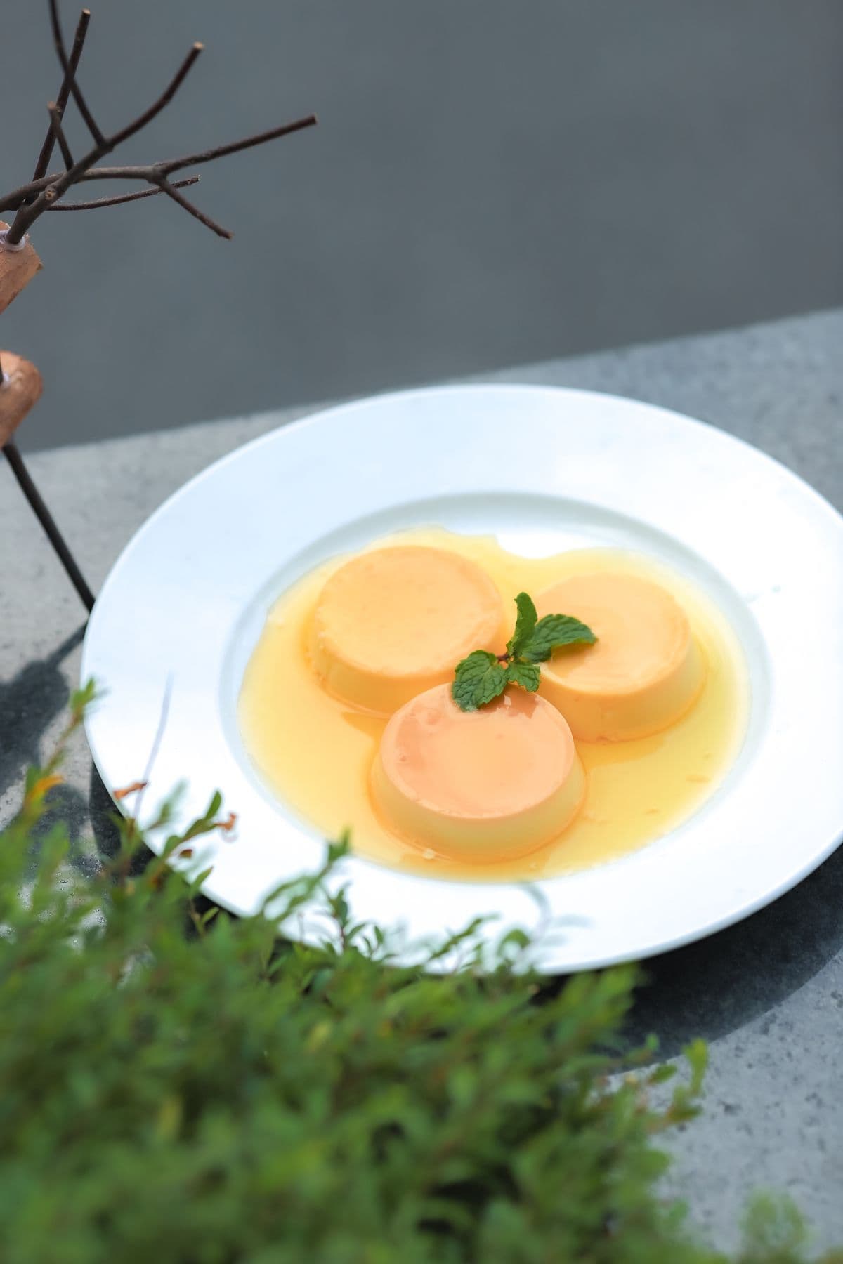 Panna cotta